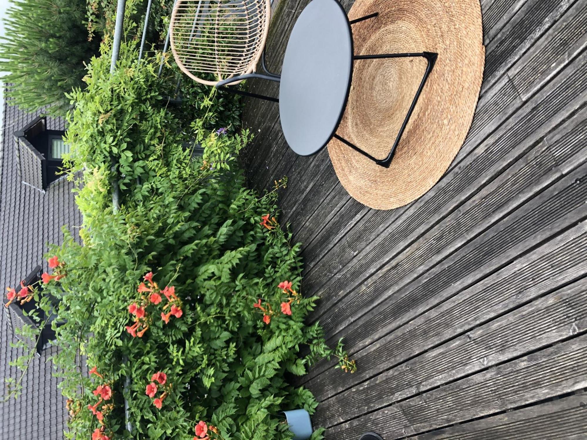 Aux Herbes Hautes Fleurbaix Værelse billede
