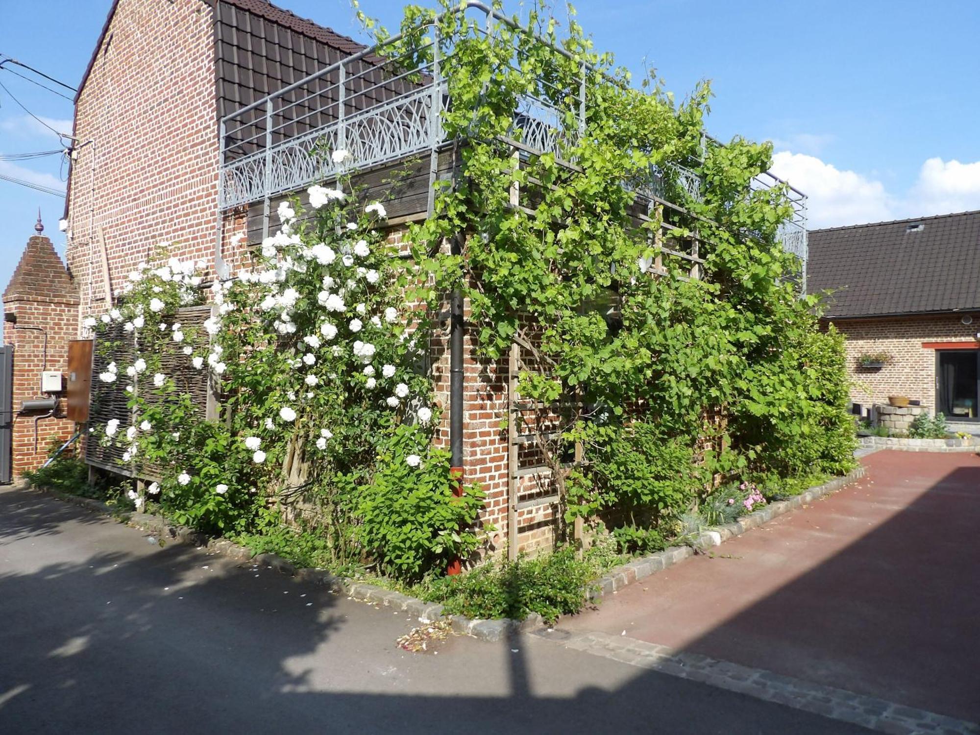 Aux Herbes Hautes Fleurbaix Eksteriør billede