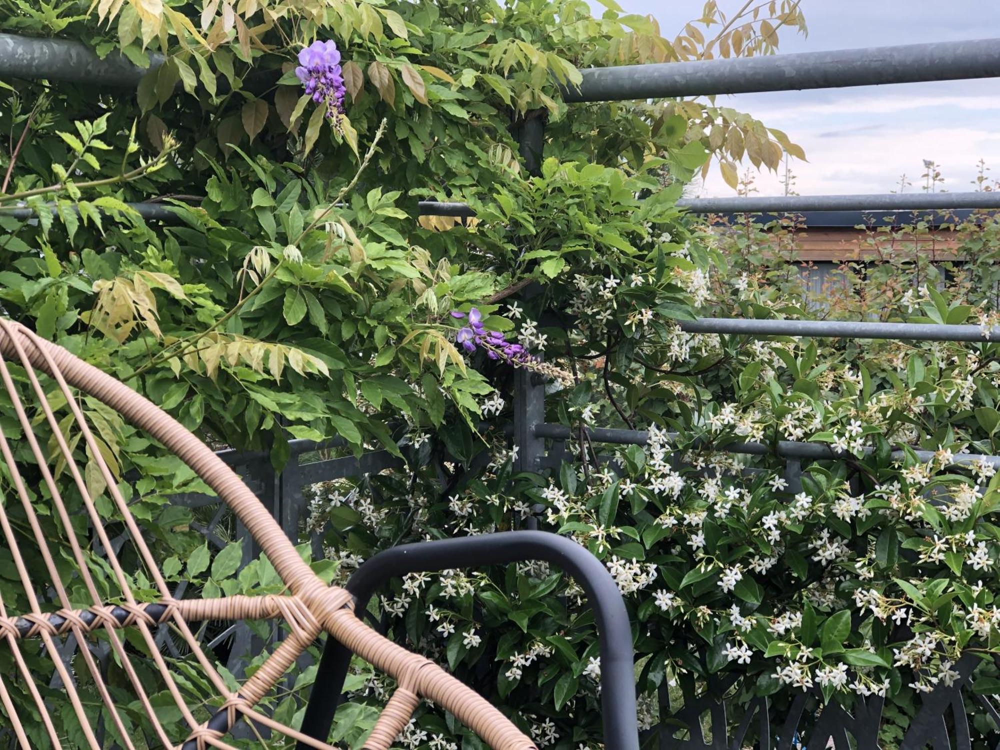Aux Herbes Hautes Fleurbaix Eksteriør billede